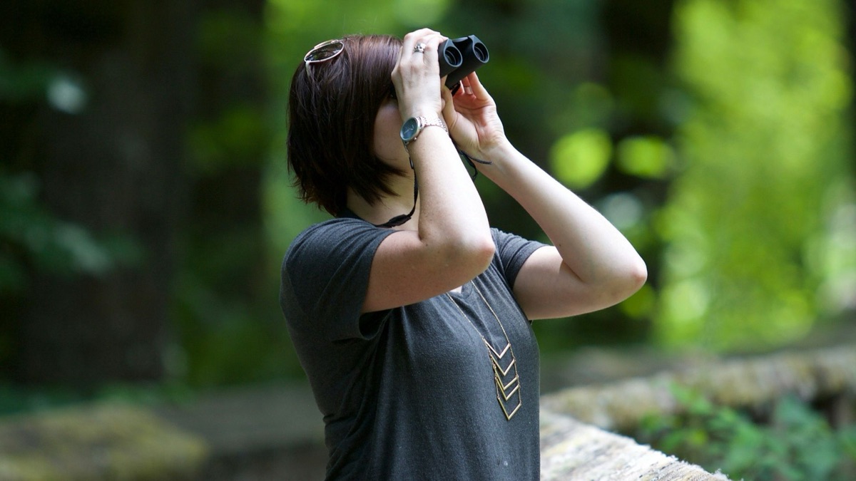 5 Reasons To Get Into Bird Watching