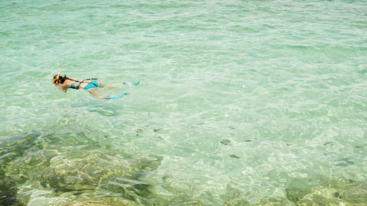 5 Dangers Of Swimming In The Ocean