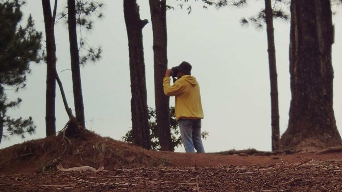 5 Reasons To Get Into Bird Watching