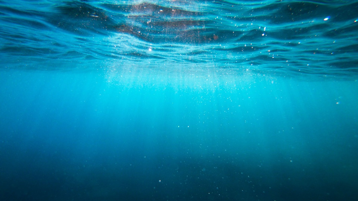 5 Scary Facts About The Ocean