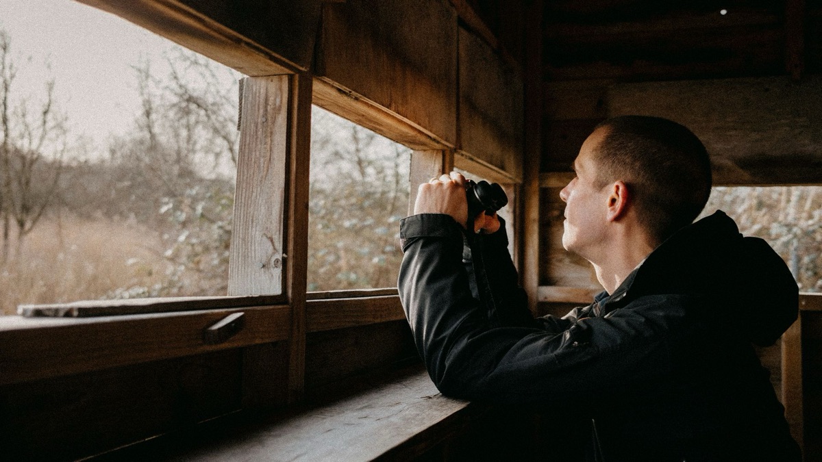 5 Reasons To Get Into Bird Watching