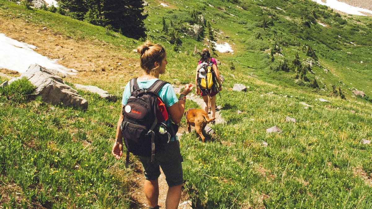 5 Hiking Essentials To Pack Before Hitting The Trail
